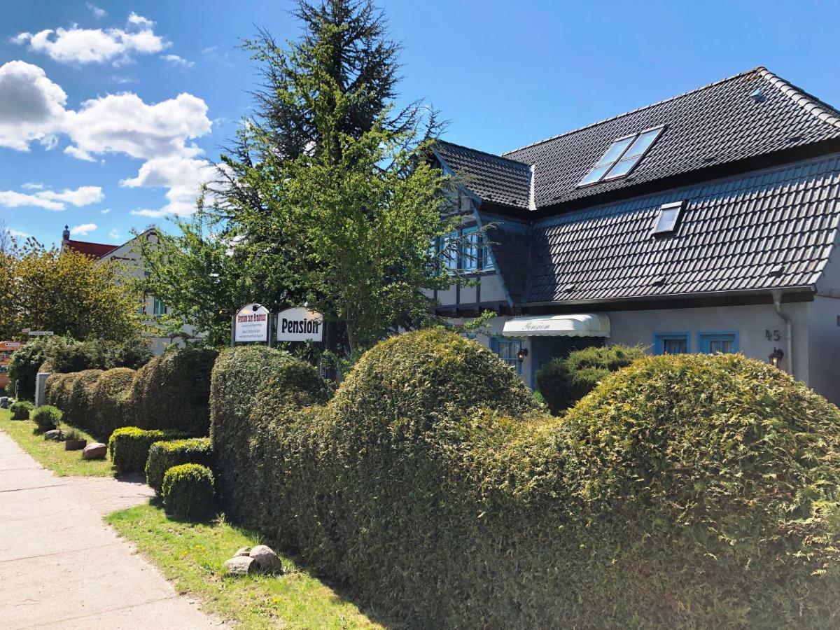 Pension Zum Brauhaus Stralsund Exterior photo